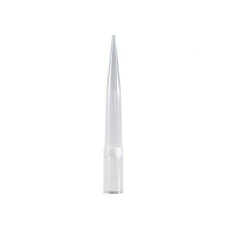 Rpi Filter Pipet Tips, 1000ul, 1000/PK 141064
